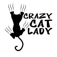 14 см * 14 см виниловые стикеры Crazy Cat Lady, наклейки, стайлинг автомобиля, черный, серебристый цвет 2024 - купить недорого