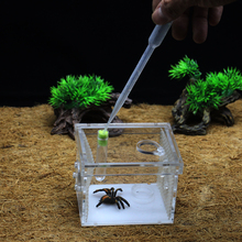 ant grape pet spider ant farm, acrylic assembled reptile breeding box Ant spider scorpion climbed pet escape burrow nest 2024 - buy cheap