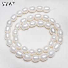 YYW High Quality Cultured Potato Freshwater Pearl Beads natural white 8-9mm Approx 1.5mm Sold Per 14.5 Inch Strand 2024 - buy cheap