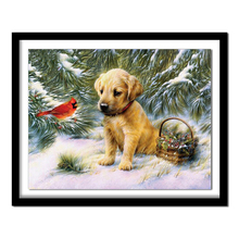 diamant painting Diamond embroidery animals dogs 5d diy diamond painting full square diamant painting 668DD diamond  round 2024 - buy cheap