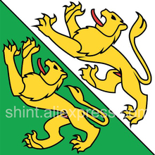 Швейцарский Флаг кантона Тургау 3 фута x 3 фута полиэстер баннер Летающий 90*90 см пользовательский открытый 2024 - купить недорого