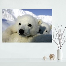 Póster de oso Polar personalizado para pared, decoración de Póster Artístico para sala de estar, tela de seda brillante y lisa, sin marco, impresión moderna 2024 - compra barato