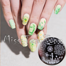 New Stamping Plate hehe64 Flower Dandelion Floral Fresh Nail Style Nail Art Stamp Template Image Transfer Stamp 2024 - buy cheap