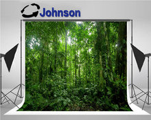 Bosque Lluvioso paisaje de selva tropical verde foto del árbol telón de fondo de alta calidad Impresión de ordenador pared de fondo 2024 - compra barato
