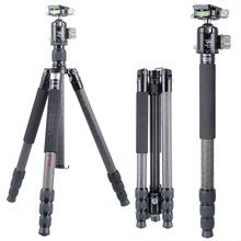 Matton W-284C+Q36 Pro Carbon Fiber Tripod Stable portable 36mm Sphere Diameter Ball Head and QR Plate Arca interface 1/4'/3/8' 2024 - buy cheap