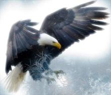 GLymg Diamond Embroidery Needlework DIY 5D Full Diamond Painting Cross Stitch Arctic Eagle Patterns Embroidery Wall Arts Decor 2024 - buy cheap