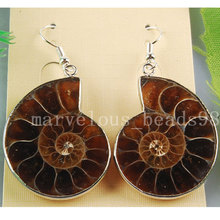 Free Shipping Beautiful jewelry  Natural Ammonite Earrings Pair MC2758 2024 - buy cheap