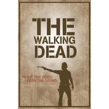 Best Nice Custom The Walking Dead Poster Classical Cloth Fabric Poster For Bedroom Silk Poster Canvas Poster27X40cm,30X45cm 2024 - buy cheap