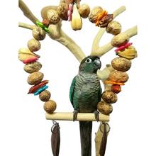 Bird Swing Toy Chewing Nuts Toys Parrot Wooden Perch Bird Cage Hanging Treat Toys for Small Macaw African Grays Cockatoos 2024 - buy cheap