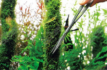 HongYi водные ножницы для растений из нержавеющей стали, пружина, прямые кривые волны, никогда не ржавеют, как качество ada 2024 - купить недорого