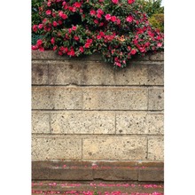 Laeacco primavera flores de mármol pétalos de pared retrato de bebé escenario Natural escena foto fondos fotografía fondo para estudio fotográfico 2024 - compra barato