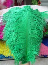 Plumas de avestruz verde de alta calidad, 100 Uds./muchas plumas de 55-60cm, decoraciones de boda DIY/accesorios decorativos para el hogar 2024 - compra barato