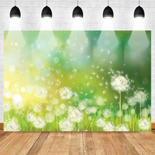 Fondo fotográfico de diente de león para fotografía, telón de fondo de Bokeh verde de verano, personalizado, para estudio fotográfico 2024 - compra barato