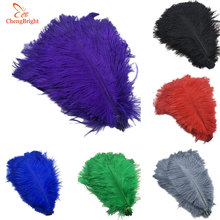 CHENGBRIGHT Hard Rod 10Pcs/Lot Natural Ostrich Feathers For Crafts 25-30CM Carnival Costumes Home Wedding Decorations Plumes 2024 - buy cheap