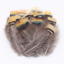 100pcs 6-7.5cm Beautiful Pheasant Feather Chicken Feather Christmas wedding costumes hat earrings Decorative YM-7 2024 - buy cheap