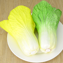 050 Simulation of Chinese cabbage / fake vegetable simulation PU Chinese cabbage model / fake fruit vegetable soft decoration 2024 - buy cheap
