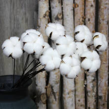 10pcs/lot Preserved Flower White Gossypium Handmade Natural 5 Petals Dried Flowers Decorative Cotton Artificial Flower Iron Stem 2024 - buy cheap