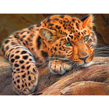 Full Square/round Diamond 5D DIY Diamond Painting Lovely Tiger Embroidery Cross Stitch Rhinestone Mosaic  Home Decor 2024 - buy cheap