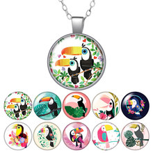 Ramphastos toco Birds Round Pendant Necklace 25mm Glass Cabochon Women Girl Jewelry Party Birthday Gift 50cm 2024 - buy cheap