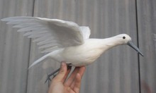 plastic foam & feathers Little Egret bird about 38x36cm spreading wings white egret art model toy,garden decoration gift w0234 2024 - buy cheap