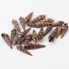 30-43mm Natural conch Spiral Shell Loose Beads for jewelry making DIY 20pcs TRS0128X 2024 - buy cheap