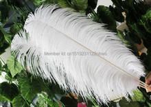 Pluma de avestruz blanca natural de 45-50 cm / 18 a 20 pulgadas, pluma de avestruz de 50 Uds para decoraciones de boda, plume de alta calidad 2024 - compra barato