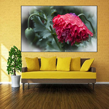 5D Diy Diamond Painting Cross Stitch full Square Round Diamond Embroidery Poppy flower picture for room Decor H904 2024 - buy cheap
