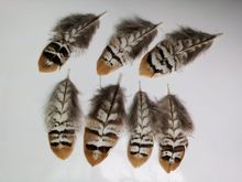Hot! 50 pc / lot quality natural Chicken feathers, 2.5-4 "/ 6-10cm DIY jewelry decoration 2024 - buy cheap