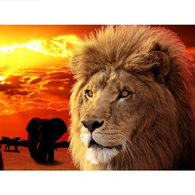 5D алмазная живопись «сделай сам», Африканский Лев, полная квадратная/круглая Алмазная вышивка крестиком Стразы, мозаичный Декор NX 2024 - купить недорого