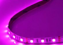 purple color LED strip 5050 SMD 12V flexible light 60LED/m,5m 300LEDnon-waterproof;IP33;white pcb 2024 - buy cheap
