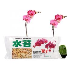 12L suministros para jardín, musgo Sphagnum, fertilizante orgánico rico en nutrición hidratante para orquídea Phalaenopsis 2024 - compra barato
