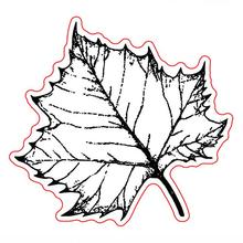 Leaf background  transparent Clear Silicone Stamp/Seal for DIY scrapbooking/photo album Decorative clear stamp sheets B049 2024 - buy cheap