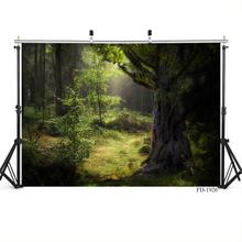 Green Forest Vinyl Cloth Photography Backgrounds For Baby Newborn Photographic Backdrops Photo Studio Photocall Photo Shootings 2024 - buy cheap