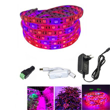 5050 LED Grow Lights DC 12V waterproof Growing LED Strip Plant Growth Light Set with Power Adapter and Switch 1M 2M 3M 5M 2024 - buy cheap