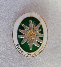 Medalha da segunda guerra mundial, alta qualidade, exército elite edelweiss, emblema de unidades de montanha 2024 - compre barato