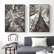 Black And White Big Trees Posters and Prints Wall art Decorative Picture Canvas Painting For Living Room Home Decor Unframed 2024 - buy cheap