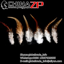 Plumas de gallo naturales para SILLÍN, plumas de la mejor calidad, envío desde la fábrica CHINAZP, 100 unids/lote, 15-20CM 2024 - compra barato