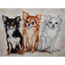 5d diy Diamond Painting Cute Chihuahua dog Full Square drill Mosaic full Embroidery display Cross Stitch Wall Decor C397 2024 - buy cheap