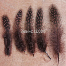Free shipping!100 PCS/lots of cheap retail guinea fowl pheasant feather 6-12 cm brown gull beautiful feathers 2024 - buy cheap