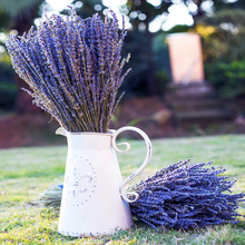 Flores secas naturales de lavanda para decoración del hogar, accesorios de fotografía artificiales para fiesta, regalo de cumpleaños, S2040 2024 - compra barato