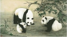Embroidery Package Hot Sell Best Quality  Cross Stitch Kits Prosperity Panda Animal Free Shipping 2024 - buy cheap