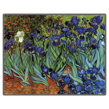 Pintura famosa de Van Gogh "Irises", pintura de diamante 5D artesanal, bordado de diamantes de imitación cuadrados y redondos, imagen de mosaico de diamantes de imitación 2024 - compra barato