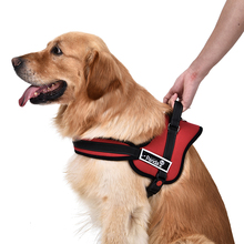 Pet Harness For Small Medium Large Dog Adjustable Soft Breathable Vest Harness Size XS-XL Outdor Walking Training Pet Accessory 2024 - купить недорого