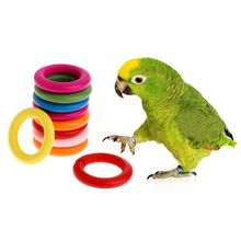 10 Pcs/Set Wooden Ring Parrot Toys Bite Chew Play Natural Colorful Rings Decoration Birds Parakeet Toy DIY Accessories 2024 - buy cheap