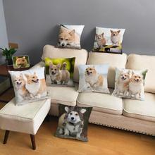 Cute Welsh Corgi Pembroke Dog Cushion Cover Soft Short Plush 45*45cm Pillow Case Home Decor Animal Pillows Cover for Sofa Car 2024 - buy cheap