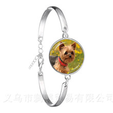 Модный красивый браслет в виде мопса в чайной чашке с собакой, 18 мм стеклянный браслет для женщин и мужчин, ювелирные изделия в подарок 2024 - купить недорого