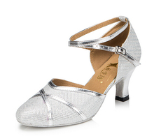 Wholesale New Ladies Silver Glitter Ballroom LATIN SALSA Tango Dance Shoes Heels Bachata Dance Shoes Suede Sole for Ballroom 2024 - buy cheap