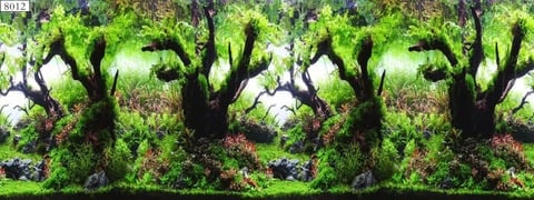 8011 23.3" x 60" Double Sided Aquarium Decoration Beach Shell / Green Forest Fish Tank Background Picture Poster 2022 - buy cheap