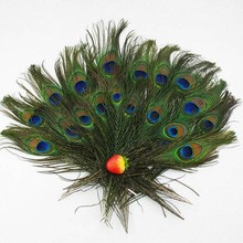 20PCS Natural Peacock Feather 23-30cm DIY Clothing Decoration Plumage Crafts Sewing Tools 2024 - buy cheap