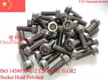 Titanium screws M4x12 ISO 14580 Socket Head T20 Driver Ti GR2 Polished 10 pcs 2024 - buy cheap